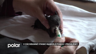 V záchranné stanici Bartošovice nabízejí pomoc živočichům i prohlídky pro veřejnost