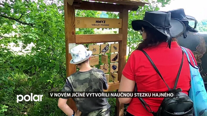 V Novém Jičíně vytvořili naučnou Stezku hajného, provede zajímavostmi lesa