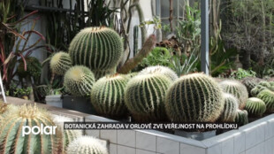 Botanická zahrada v Orlové zve veřejnost na prohlídku