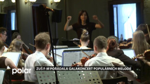 ZUŠ Frýdek-Místek pořádala Galakoncert populárních melodií