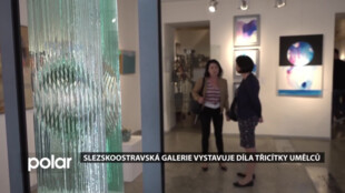 Slezskoostravská galerie vystavuje díla třicítky umělců, autory jsou významní členové Sdružení Q