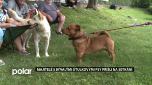 Majitelé s bývalými útulkovými psy přišli na setkání do Ostravy-Třebovic