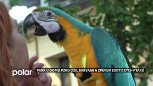 Park u Domu PZKO ožil barvami a zpěvem exotických ptáků