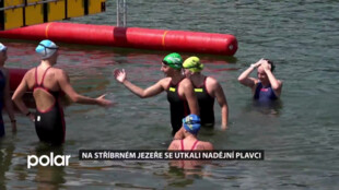 Na Stříbrném jezeře v Opavě se utkali nadějní plavci ve Slezském poháru a MČR