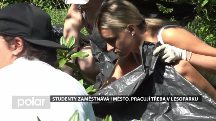 Studenty v létě zaměstnává i město, pracují třeba v lesoparku