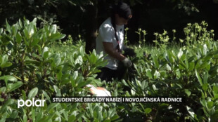 Studentské brigády nabízí i novojičínská radnice, zájem je obrovský