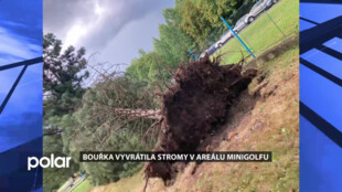 Sobotní bouřka vyvrátila stromy v areálu minigolfu, větší škody radnice neeviduje