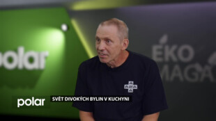 Hosté ve studiu: Tom Reisinger, profesionální sběrač divokých bylin