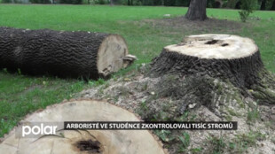 Arboristé ve Studénce zkontrolovali tisíc stromů, radnice odborníky povolala po červnové smršti