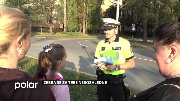 BEZ KOMENTÁŘE: Zebra se za tebe nerozhlédne