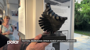 Multižánrový festival Bezručova Opava letos vzdává hold opavským umělcům