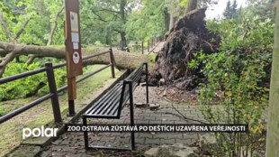 Zoo Ostrava zůstává po deštích uzavřena veřejnosti, otevře v sobotu