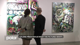 Slezskoostravská galerie představuje výstavu What the Pictures Wants Marka Nenutila