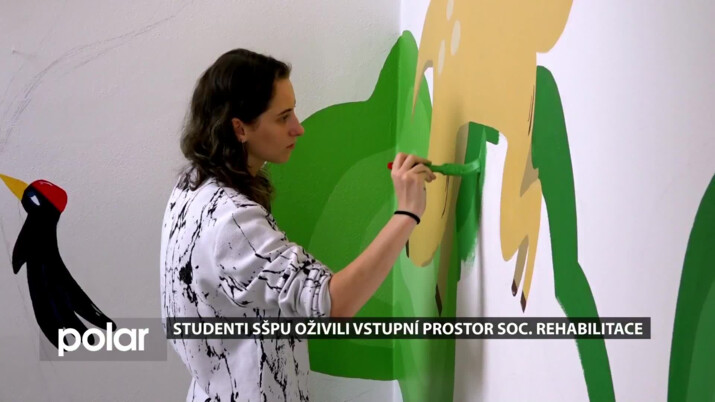 Studenti grafického designu SŠPU v Opavě oživili vstupní prostor soc. rehabilitace Animy Vivy