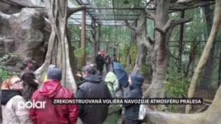 Zrekonstruovaná voliéra Papua v ostravské zoo navozuje atmosféru deštného lesa