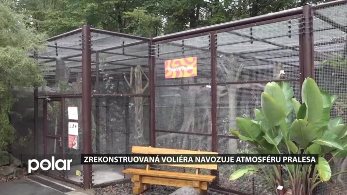 Zrekonstruovaná voliéra Papua navozuje atmosféru oceánského deštného lesa