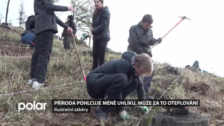 Příroda pohlcuje méně uhlíku, může za to oteplování