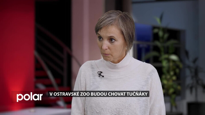 Hosté ve studiu: Šárka Nováková, mluvčí ZOO Ostrava, Ostravská ZOO bude chovat tučňáky