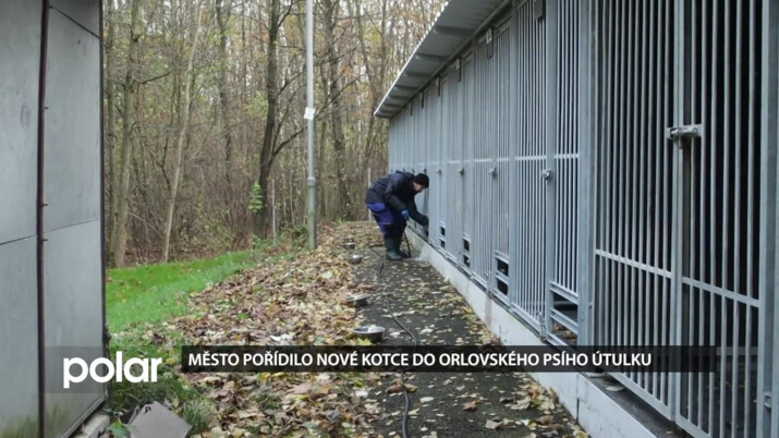 Město pořídilo nové kotce do orlovského psího útulku