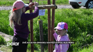 Dvě aleje na Opavsku soutěží o titul Alej roku. Staré odrůdy ovocných stromů sadily i děti