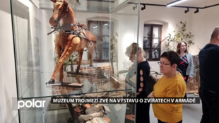 Muzeum trojmezí v Jablunkově zve na výstavu o zvířatech ve vojenské službě