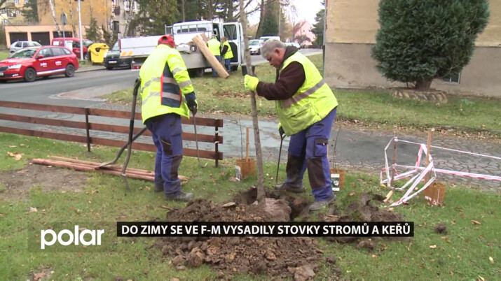 Do zimy se ve Frýdku-Místku vysadily stovky stromů a keřů