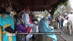 Zaměstnanci i návštěvníci ostravské zoo společně koledovali u živého betléma