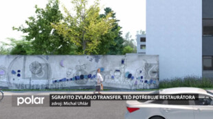 Sgrafito zvládlo transfer o dvanáct metrů, teď potřebuje restaurátora