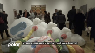 Výstava Sesterství v Domě umění v Ostravě vzdává hold ženství