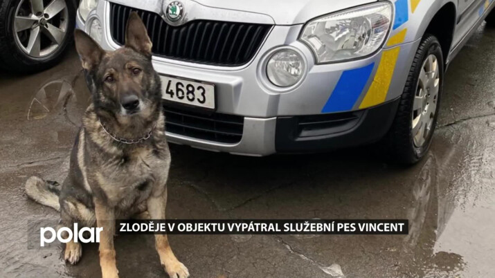 Pozorný soused zabránil krádeži. Zloděje v objektu vypátral  Vincent