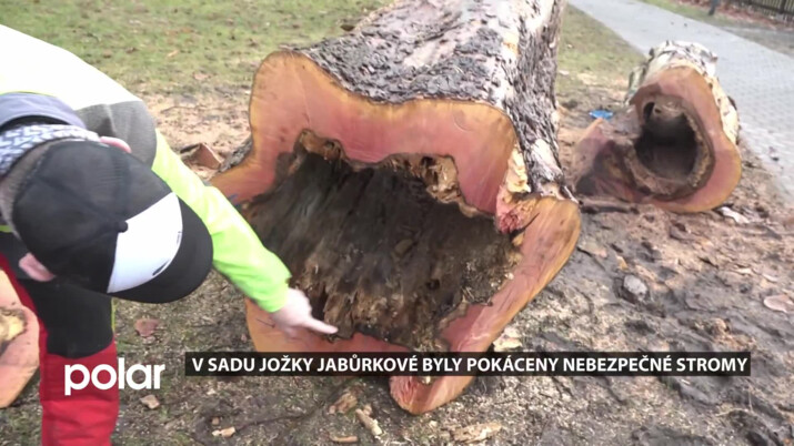 V sadu Jožky Jabůrkové v Ostravě-Vítkovicích šlo kvůli bezpečnosti k zemi osm stromů