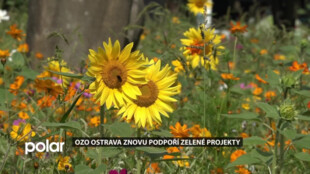 OZO znovu podpoří zelené projekty. Využije výnosy z Reuse centra Ostrava