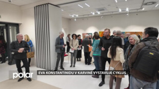 V Karviné vystavuje výtvarnice Eva Konstantinidu svou tvorbu pod názvem Cyklus