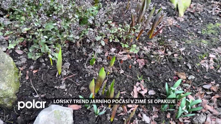 Loňský trend jarního počasí v zimě se opakuje