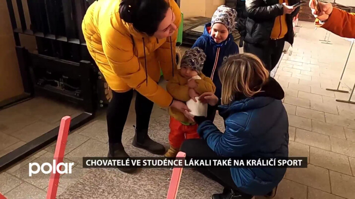 Chovatelé ve Studénce lákali návštěvníky výstavy také na králičí sport