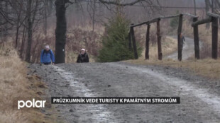 Beskydský průzkumník tentokrát vede turisty k památným stromům