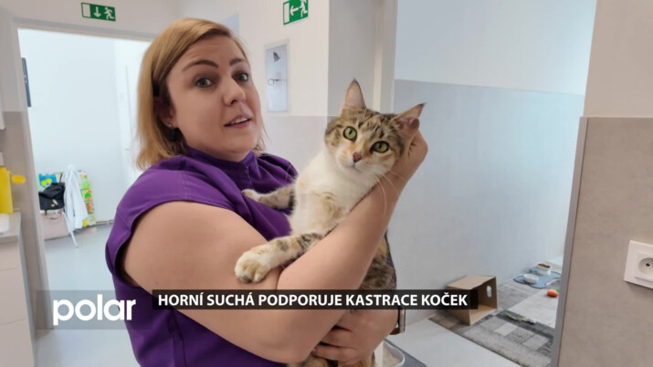 Horní Suchá podporuje kastrace koček, chce předejít přemnožení