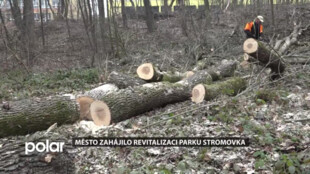 Lesopark Stromovka bude bezpečnější, radnice zahájila revitalizaci