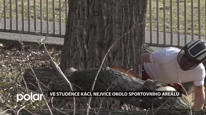 Ve Studénce kácí desítky stromů, nejvíce okolo sportovního areálu