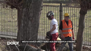 Město na jaro osvěží ořezy keřů i kácení starých stromů