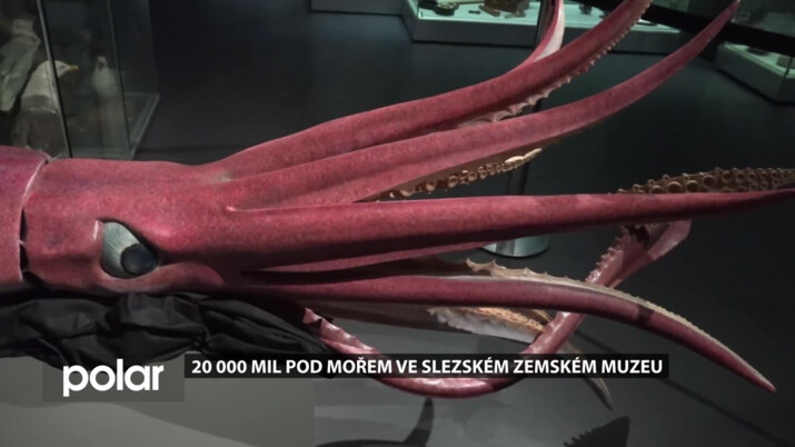 Slezské zemské muzeum v Opavě patří výstavě 20 000 mil pod mořem inspirované románem Julesa Verna