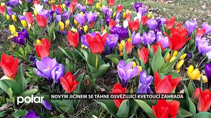 Novým Jičínem se táhne osvěžující kvetoucí zahrada
