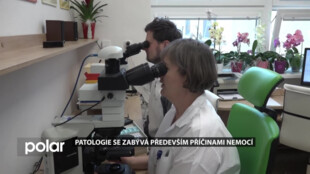 Patologie se zabývá především příčinami nemocí