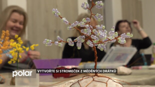 Na prvním workshopu drátování se tvořil populární stromeček pro štěstí