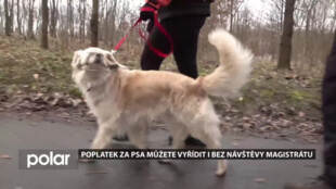 Blíží se doba splatnosti poplatku za psy, který můžete vyřídit i on-line formou