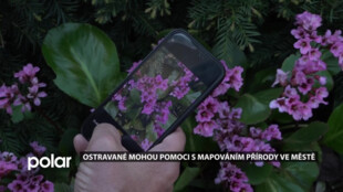 Ostravané mohou pomoci s mapováním přírody. Stačí ve městě vyfotit rostlinu či živočicha