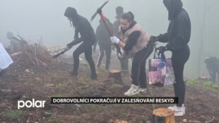 Dobrovolníci pokračují v zalesňování Beskyd po kůrovcové kalamitě
