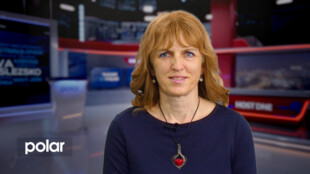 Hosté ve studiu: Šárka Laštovičková, propagátorka přírodní rovnováhy a bylinářka, Střevní mikrobiom souvisí s psychikou člověka