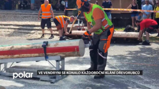 Ve Vendryni se konalo každoroční klání dřevorubců, lidé dražili díla řezbářů