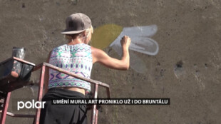 V Bruntále jsou k vidění první umělecká díla stylu mural art krnovské výtvarnice Nellidy